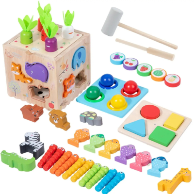 Multi - FunctionToy